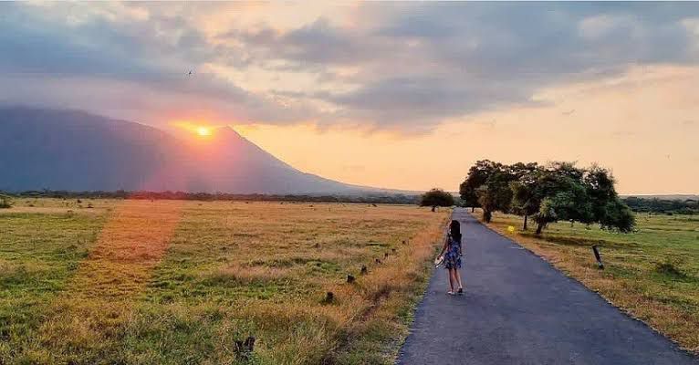 suatu pemdangan di pagi hari